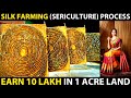 SILK FARMING (SERICULTURE) PROCESS | How Silk is made from Silkworm | Silk Farming Business Plan