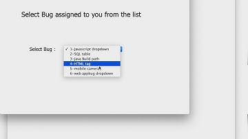 Demo Video Bug Tracking system