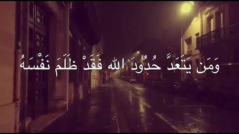 تلاوة من سورة الطلاق القارئ/ رعد الكردي.