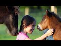 Mya and Mini Horse Foals July 27th 2018