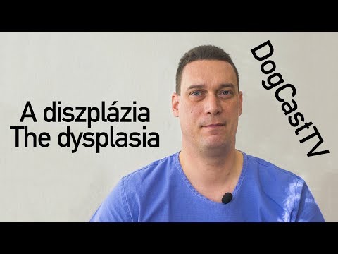 Videó: Német juhász csípő diszplázia tünetei és okai
