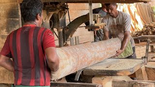 Empower Your Craft Uncovering Chainsaw Tools and Techniques for Perfect Cutting Mastery! Profile