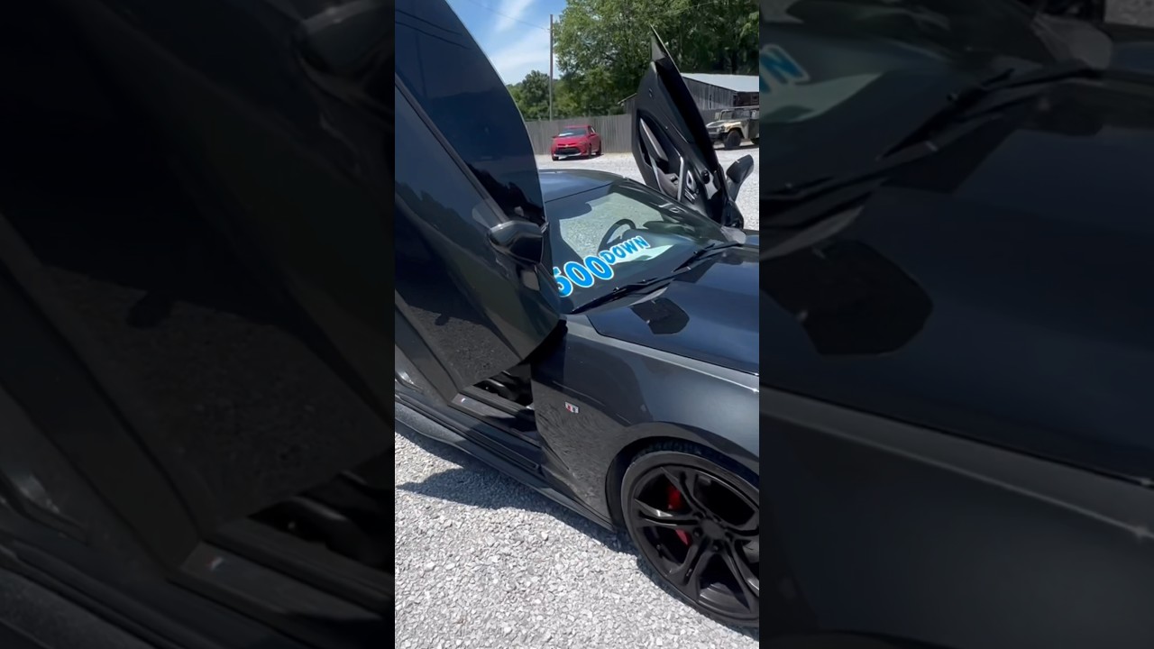 2SS With Butterfly Doors Walk Around 🥶 