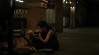 She Hates Everybody | Sameen Shaw, Person of Interest