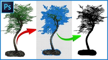How to Create Custom Vector Shape in Photoshop | Photoshop Tutorial in Tamil