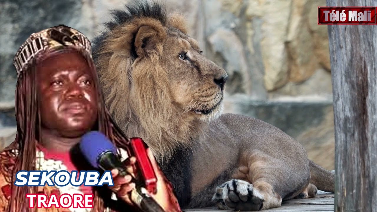 Sekouba traore (Moussa Niare)