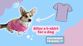Dress any dog using these 4 easy steps! Hack a t-shirt to fit a dog