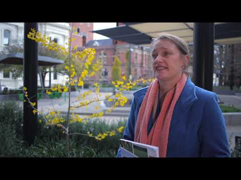 Working Together for Healthy Waterways | Water Quality Improvement | Part 6 of 12