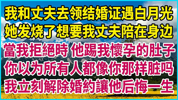 我和丈夫去领结婚证遇白月光，她发烧了想要我丈夫陪在身边，当我拒绝时 他踢我怀孕的肚子：你以为所有人都像你那样脏吗？我立刻解除婚约让他后悔一生 #生活经验 #情感故事 #深夜浅读 #幸福人生 #深夜浅谈 - 天天要闻