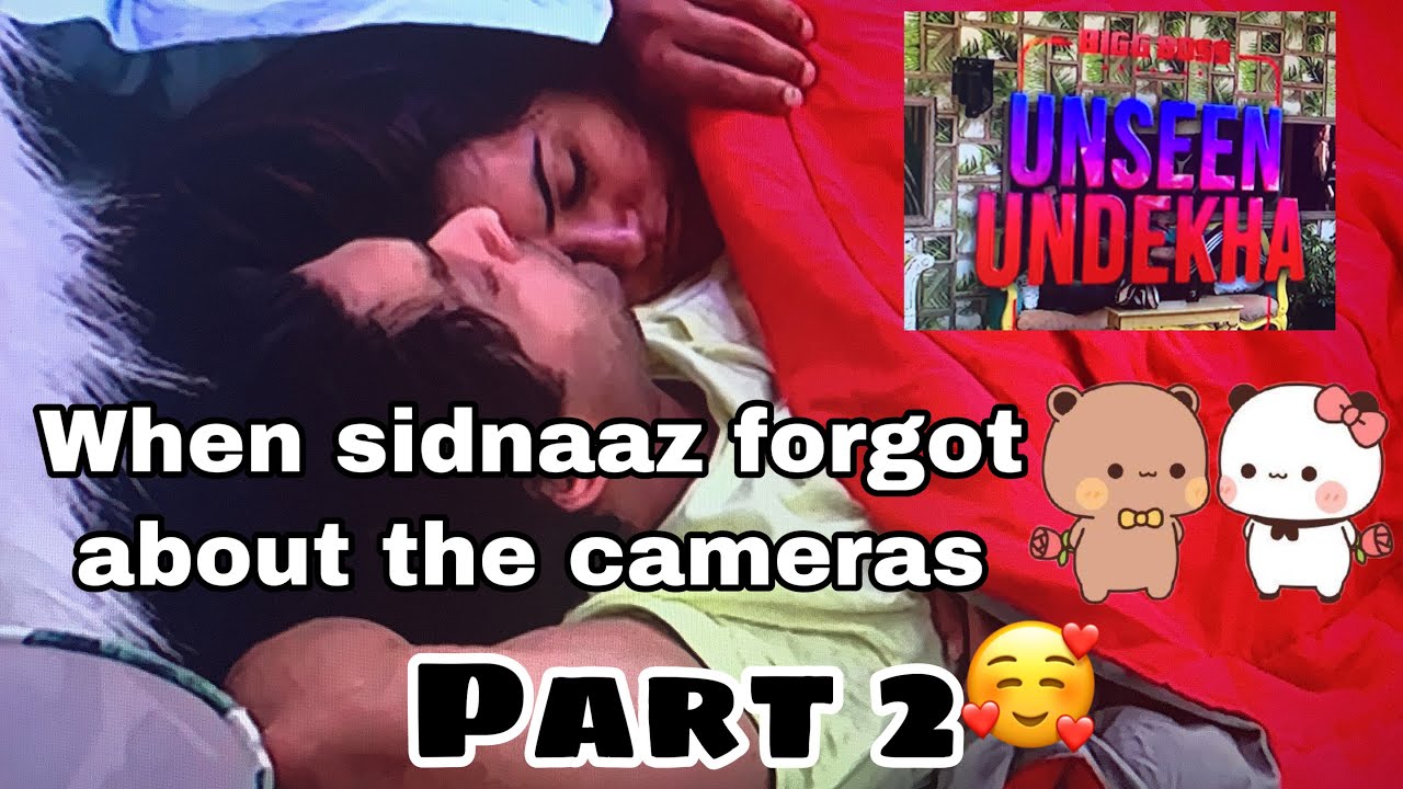 When sidnaaz forget about the BB cameras (part 2)