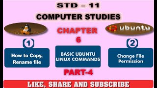 Basic ubuntu linux command Part 4 english medium