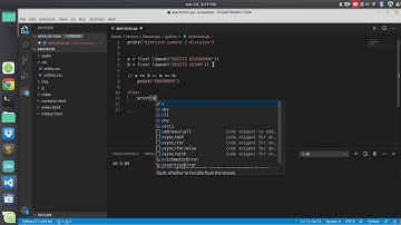 Ejercicio Python división de dos números. Mensaje de error.