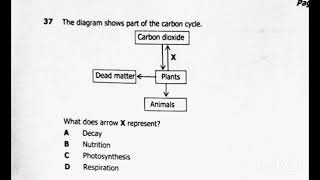 2026 G12 ECZ EXAM BIOLOGY REVISION PREP - 27