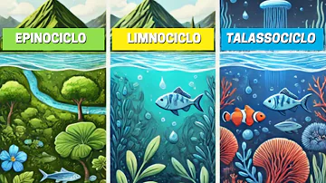 Como você caracteriza o biociclo marinho?