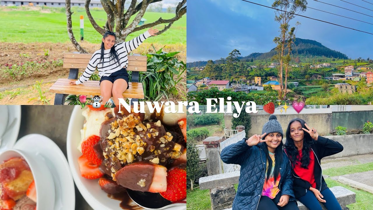 Trip to Nuwara Eliya part 01🍓🌷🏔️