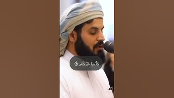 قران كريم ايات تريح القلب اجمل صوت قران كريم #رعد_الكردي #الضياء8