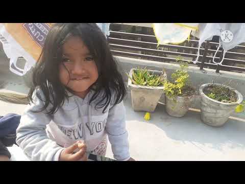 Happy New Year 2022#साल का पहला दिन परिवार के साथ बिताया#औरपहाड़ीनींबू खाया#Chhatपरcricketखेला#Pahadi