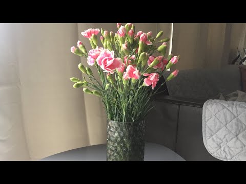 Vidéo: Que faire pour que les roses tiennent longtemps dans un vase, ou On prolonge la vie d'une belle fleur