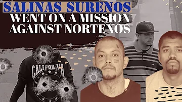 SURENO GANG MEMBERS WENT ON A 💥💥💥SPREE ON NORTENOS #new #crimestory #trending #viralvideo #559