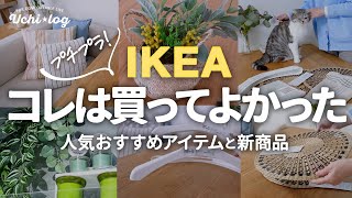 【IKEA購入品】どれも最高テッパン人気アイテムと新商品。プチプラ高見えグッズで春の模様替えと収納改善50代主婦