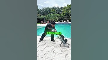 IShowSpeed Buys $100000 Robot