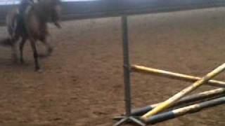 VID 00024-20110223-1512.3GP