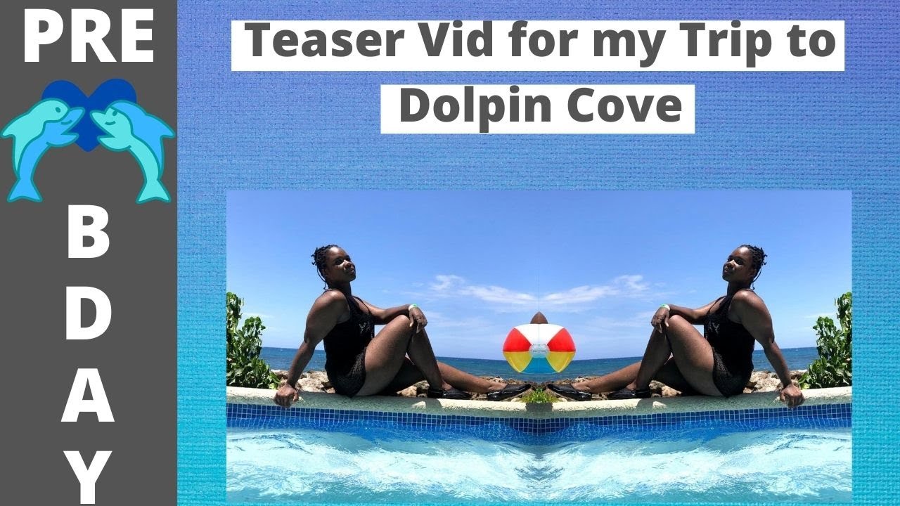 Teaser Vid with the Dolphins @Dolphin Cove Ocho Rios, Jamaica |  *Fun* StarDomz Channel
