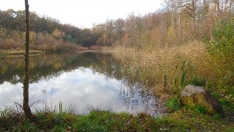 1899 Oudsbergen-Opglabbeek (België) 7,8 km