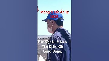 Mồng 5 Tết Ất Tỵ 3025 - Bắt nghêu ở biển Tân Điền, Gò Công Đông, Tiền Giang. #gocong #dulich