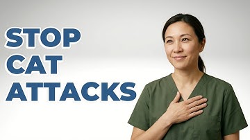 How Do You Diffuse Redirected Aggression In Cats?