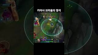 카이사 브라움의 정석