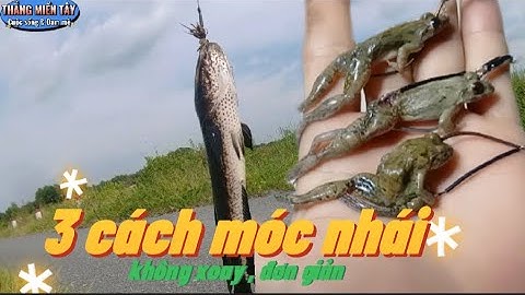 Ba cách móc nhái không xoay, đơn giản, trong bộ môn câu cá lóc/Thắng Miền Tây, Giao Lưu Cần Thủ