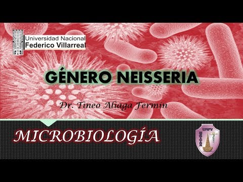 Video: Je li Neisseria Subflava Gram pozitivna ili negativna?