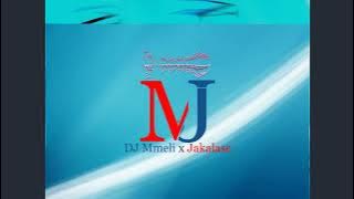 Jakalase x Dj Mmeli  - Platinum (Visualizer)