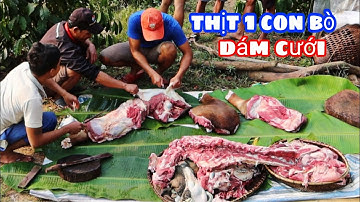 Sang Vlog Thịt 1 Con Bò Để Làm Đám Cưới | beef for the wedding