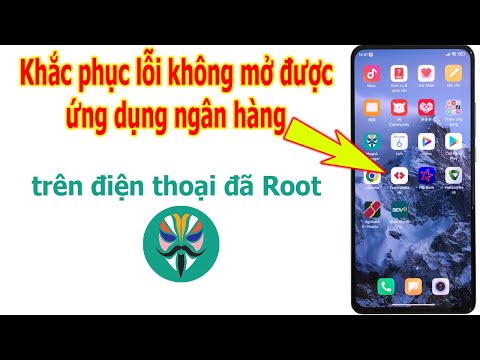 Video: 10 chú chó lớn nghĩ rằng họ là chó cưng