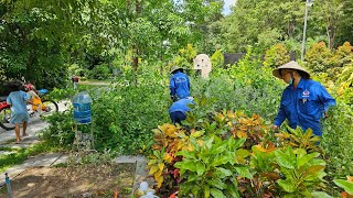 công nhân Hoa Viên cắt cỏ xung quanh mộ nghệ sĩ ưu tú Vũ Linh