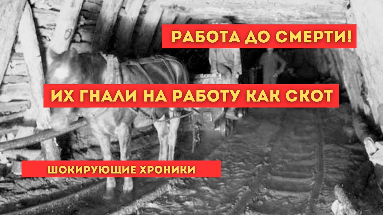 Мороз -50°C: Смертельная работа заключенных