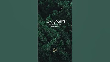 اكتب ما تؤجر عليه، وشارك الأجر🤍🌿#هيثم_الدخين #الله #اسلام   #القرآن_الكريم  #تلاوات  #محمدﷺ #فلسطين