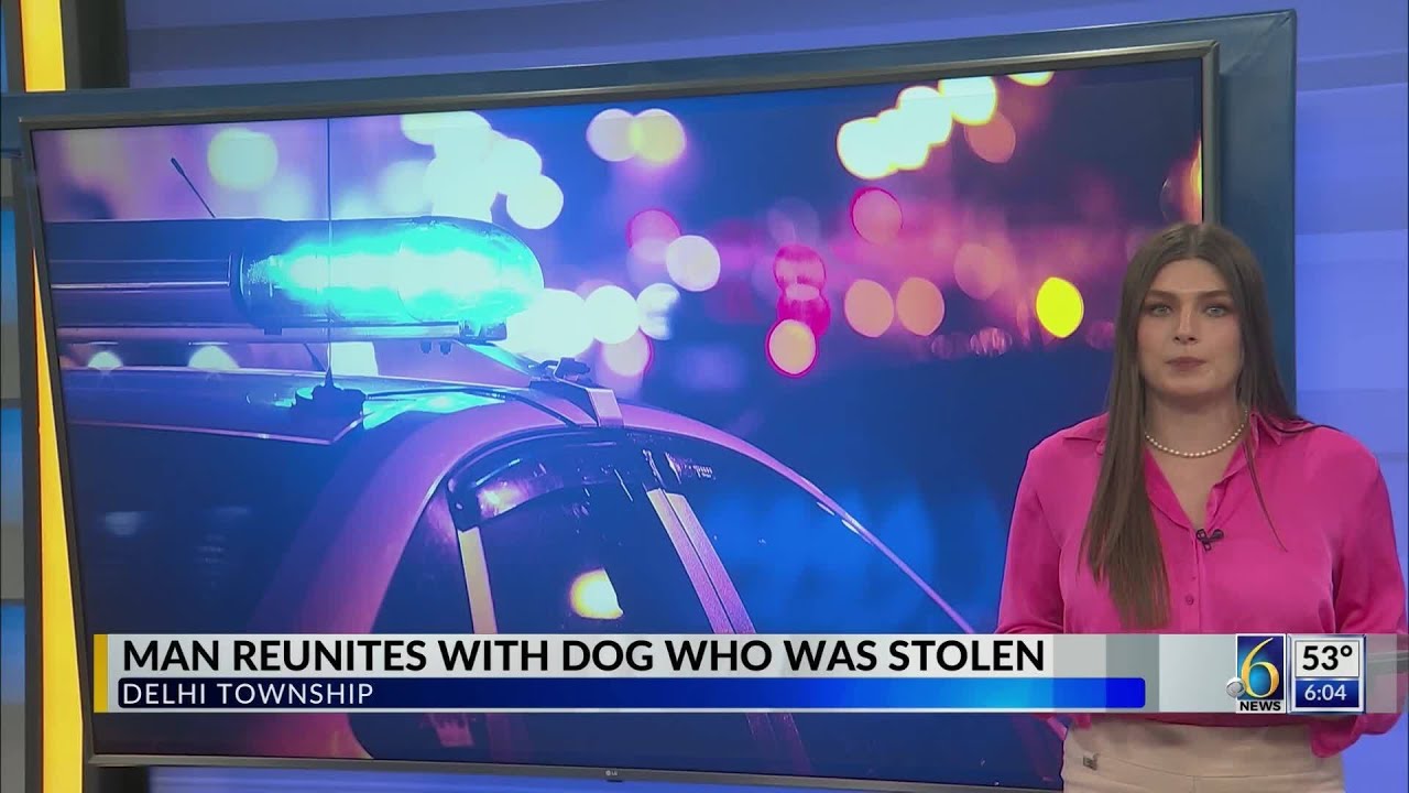 Man reunites with stolen dog - YouTube