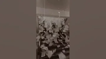 توته توته خلصت الحتوته Shorts 