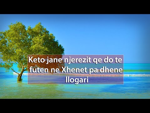 Video: Kur do të jetë fatale sipas kërkesës?