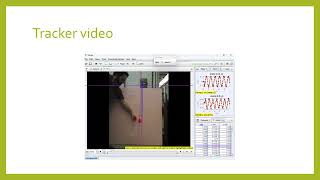 lab 4: Oscillations