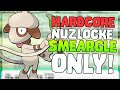 Pokemon Emerald Hardcore Nuzlocke - Smeargles Only! (No items, No overleveling)