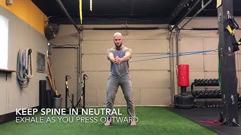 Pallof Press (Anti-Rotation)