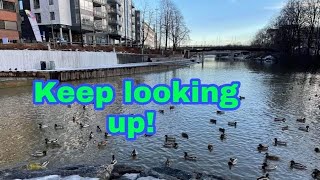 How can we keep looking up, despite of the challenges?