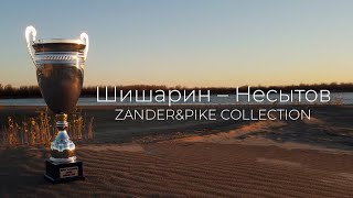 Zander&Pike Collection. Победные приманки команды Шишарин Николай - Несытов Алексей