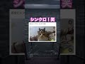 ちゅ〜る使って誘導してるのかな笑 #shorts#動物#かわいい#可愛い#癒し#癒し動画 #猫 #シンクロ