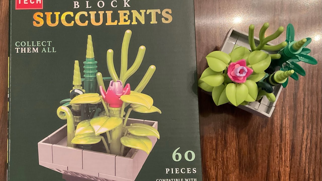 Let's Build Off Brand LEGO from Five Below | Block Tech Succulents