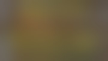 Daggerfall Unity — 215 — Witches Coven Quest — A Treacherous Gift